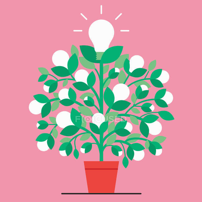 Light bulb plant on pink background — Stock Photo