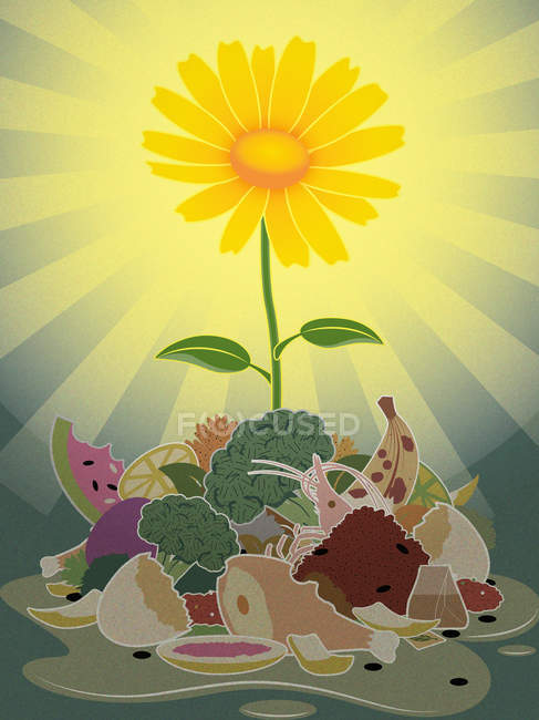 Shining flower growing out of organic waste — Stock Photo