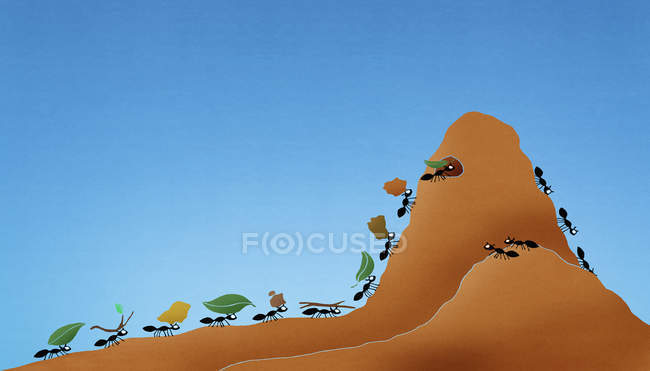 Группа муравьёв, перевозящих предметы в гору — стоковое фото