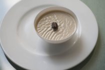 Coffee panna cotta with singe coffee bean. — Stock Photo