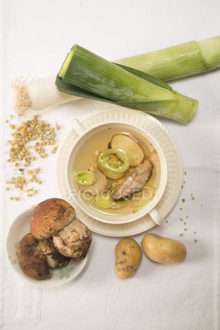 Mushroom and potato soup in chamomile broth served on table with vegetables and fresh Porcini mushrooms. — Stock Photo