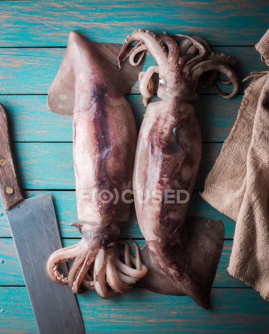 Calamari grezzi su legno — Foto stock