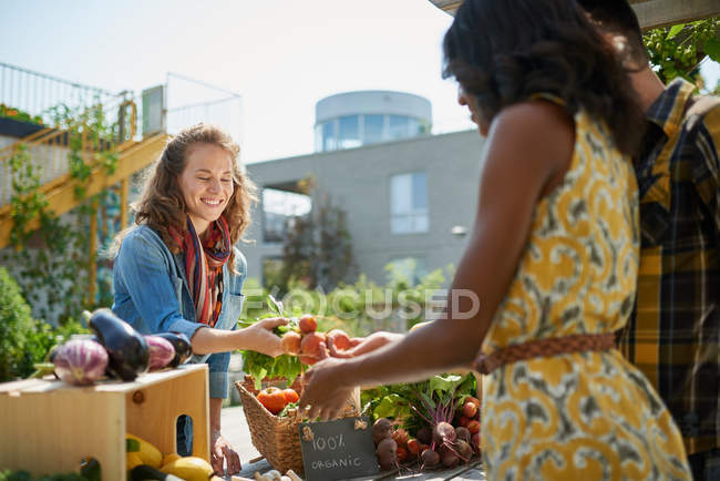 Mulher amigável cuidando de uma barraca de vegetais orgânicos em um mercado de agricultores e vendendo legumes frescos do jardim no telhado — Fotografia de Stock