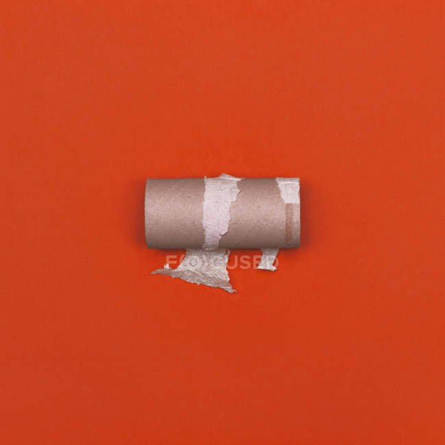 Closeup Top View Of Toilet Paper Carton Insert On Orange Surface Closeup Top View Of Toilet Paper Carton Insert On Orange Surface Color Image Copy E Stock Photo 157077402