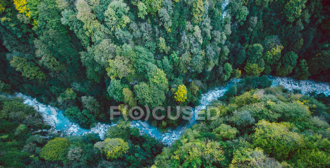 Aerial view of a river and forest in Georgia — Stock Photo