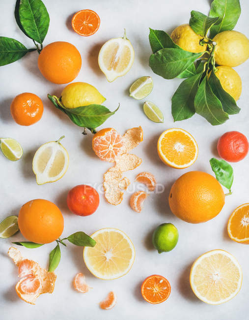 Variety of fresh citrus fruits — Stock Photo