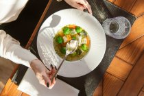 Colpo ritagliato di donna mangiare deliziosa zuppa sana con verdure in piatto bianco — Foto stock