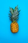 View of baby pineapple isolated on blue background — Stock Photo
