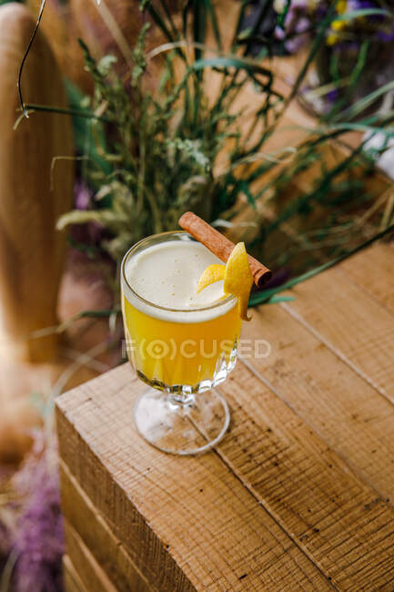 A fresh citrus cocktail with a zest and cinnamon stick — Stock Photo