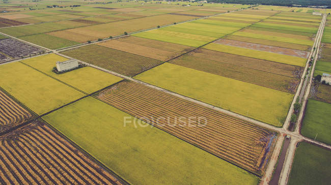 Foto aerea da drone volante di una bellezza paesaggio naturale con fattoria con coltivazione di riso o miglio colture . — Foto stock