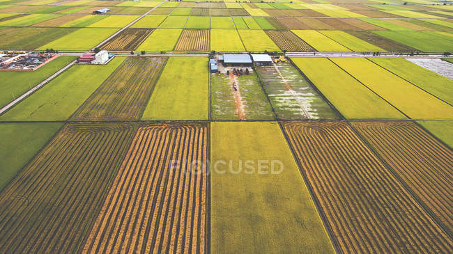 Aerial photo from flying drone of farm buildings in countryside near green fields with sown land with grain. — Stock Photo