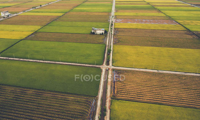 Foto aerea da drone volante di un bellissimo paesaggio della campagna asiatica con piante di riso biologico per mangiare sano e vegetariano . — Foto stock