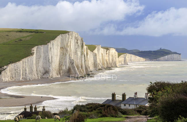 Seven Sisters cliffs — Stock Photo