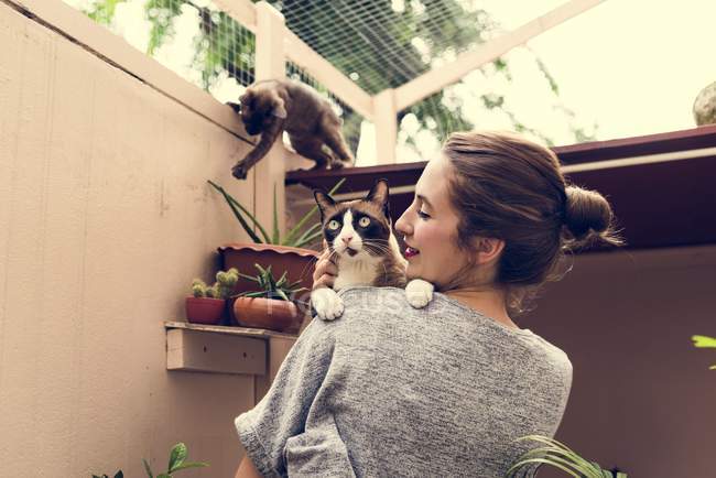 Donna che gioca con i gatti — Foto stock
