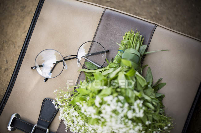 Marrone borsa e occhiali cerchio — Foto stock