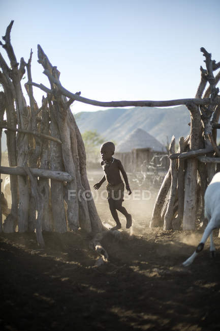 Хлопчики стадо кіз через село — стокове фото