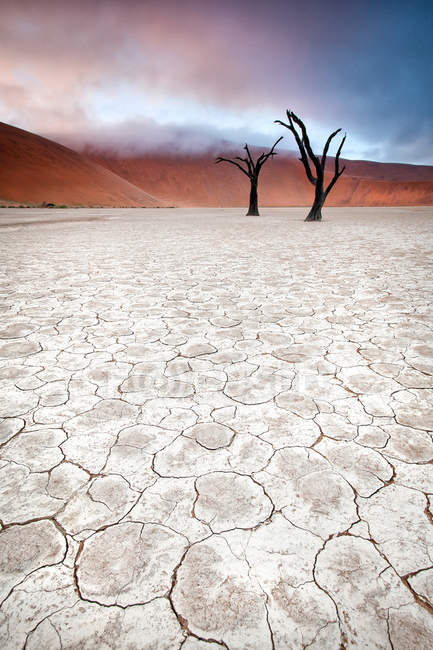 Paisagem de Sossusvlei, Namíbia — Fotografia de Stock