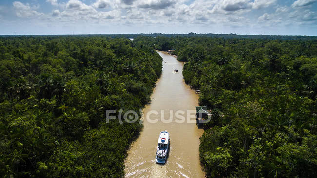Басейні річки Амазонки в Бразилії — стокове фото