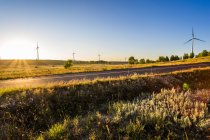 Rural road in grassland scenery in Hebei province, China — Stock Photo