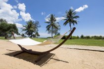 Гамак стоит на тропическом пляже — стоковое фото