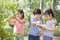 Chinesische Kinder sammeln Blättermuster im Wald — Stockfoto