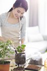 Chinese woman potting plants at home — Stock Photo
