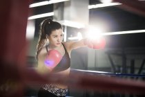 Female asian boxer practicing in boxing ring — Stock Photo