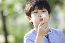 Chinese boy blowing dandelion flower — Stock Photo