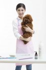 Chinese female pet groomer holding cute poodle — Stock Photo