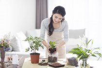 Donna cinese piante potting a casa — Foto stock