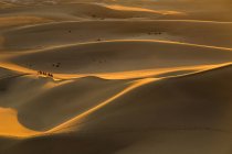 Veduta della carovana nel deserto al tramonto a Dunhuang, Cina — Foto stock