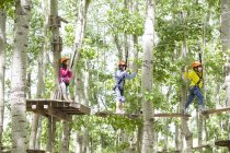 Китайские дети лазают по деревьям в парке приключений — стоковое фото