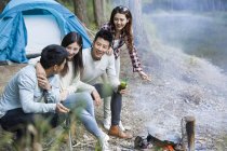 Amis chinois assis à côté du feu de camp dans la forêt — Photo de stock