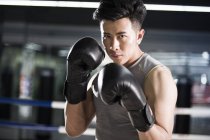 Portrait de boxeur asiatique — Photo de stock