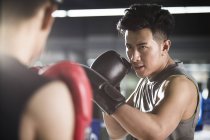 Asiático boxers lutando no ringue de boxe — Fotografia de Stock
