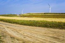Wind turbines in grassland scenery in Hebei province, China — Stock Photo