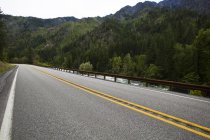 View of highway road through pine forest — Stock Photo