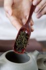 Primer plano de las manos femeninas poniendo hojas de té en la tetera - foto de stock