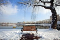 Деревянная скамейка под ивой в тихом парке зимой — стоковое фото