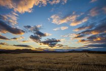 Harvested field under burning clouds — Stock Photo