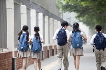 Vue arrière des écoliers en uniforme scolaire marchant sur le trottoir — Photo de stock