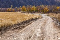 Rural scene of road in Chinese countryside — Stock Photo