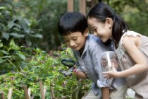 Chinese children in garden looking at butterfly with magnifying glass — Stock Photo