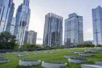 Modern buildings and green area in Beijing, China — Stock Photo