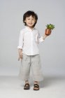 Piccolo ragazzo asiatico in possesso di pianta in vaso su sfondo grigio — Foto stock