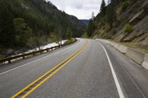 Blick auf die Autobahn durch Kiefernwald — Stockfoto
