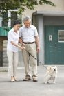 Старшая китайская пара гуляет с собакой на улице — стоковое фото