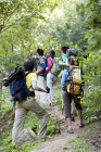 Vista trasera de amigos en caminata en el bosque - foto de stock