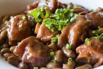 Traditional chinese braised pork with brown sauce — Stock Photo