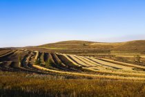 Grassland scenery in Hebei province, China — Stock Photo